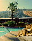 Desert Royalty | Creative Photography on Acrylic Glass 85x120 cm | 2025