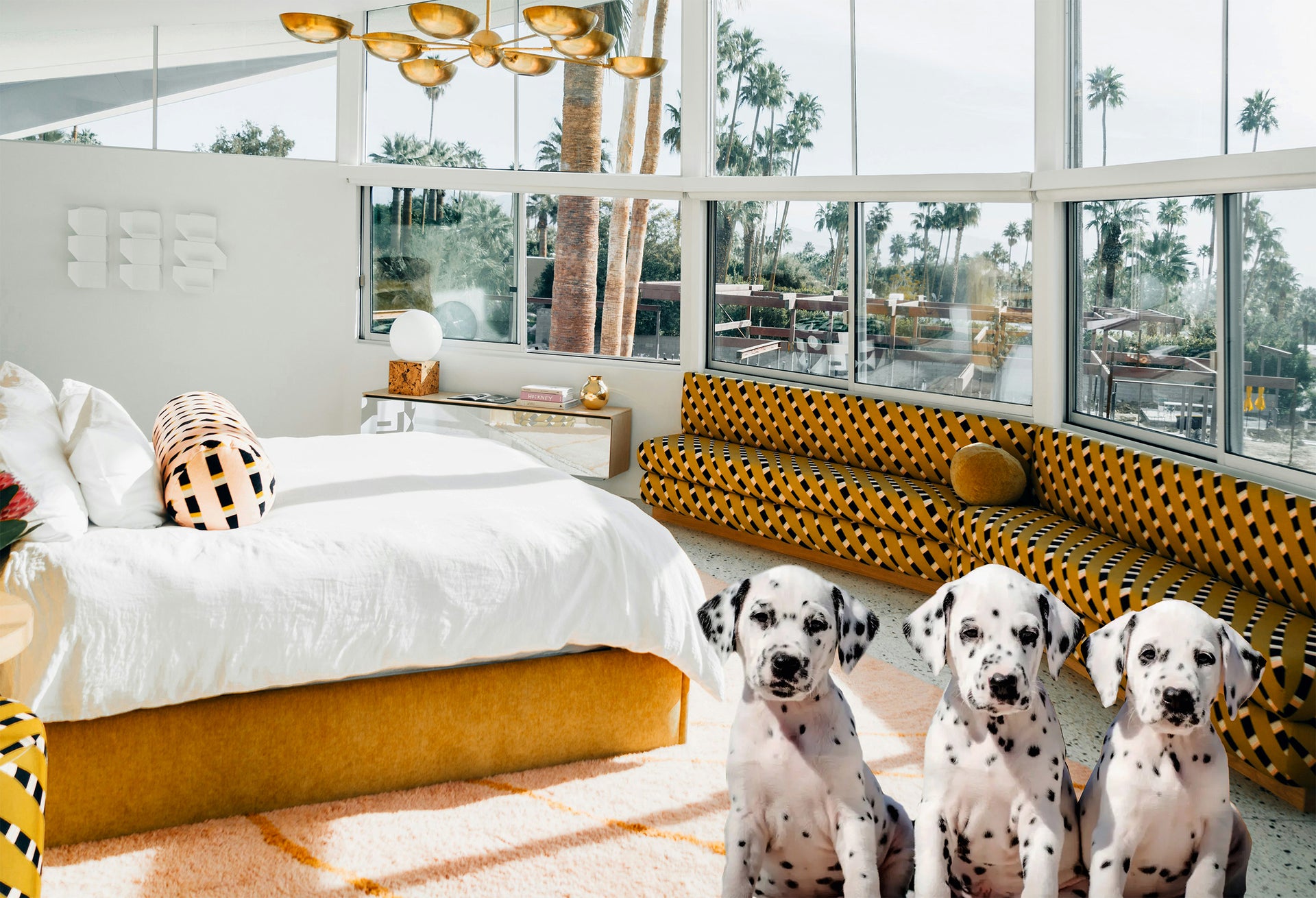 Spotted Elegance Creative Photography on Acrylic Glass 75x110 cm