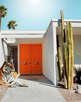 The Guardian | Creative Photography on Acrylic Glass 80x60 cm | 2024