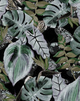 Midnight Jungle| Wallpaper Patterns | 2024