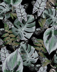 Midnight Jungle| Wallpaper Patterns | 2024